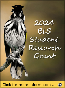 Click for more information about the 2024 BLS Student Research Grant