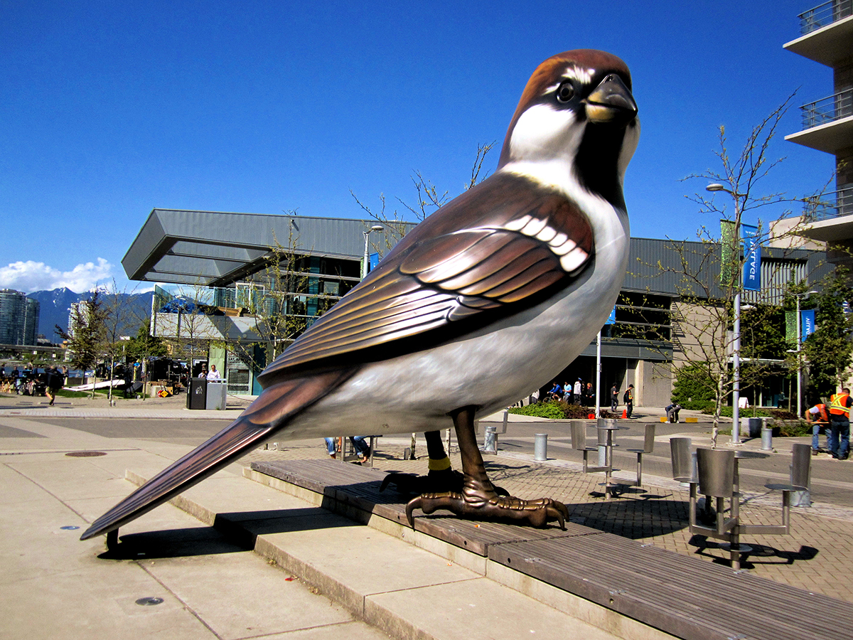 The Birds by Myfanwy MacLeod in Vancouver